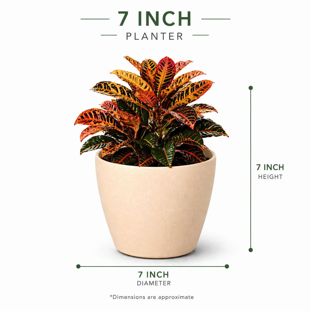 Deco Planter