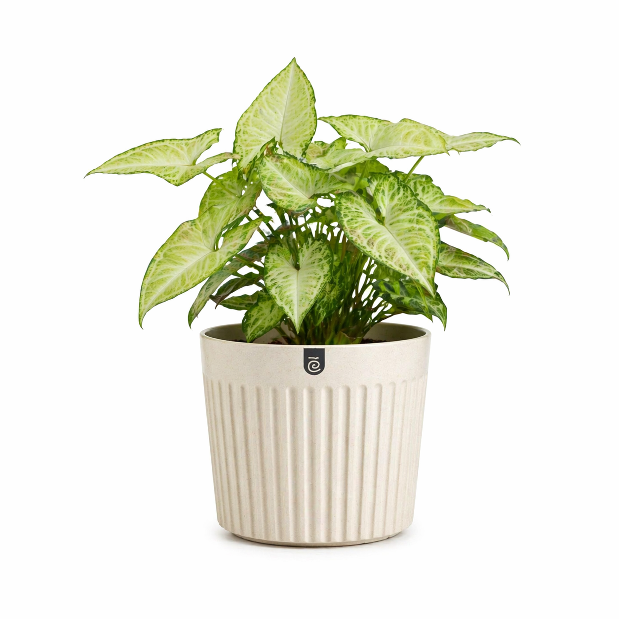 Romano Planter