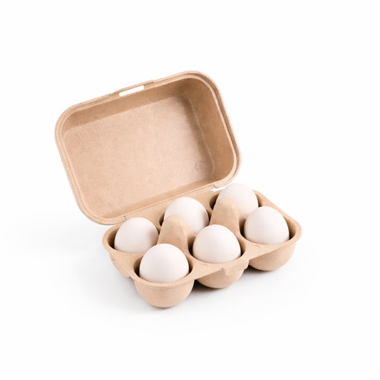 Egg Tray