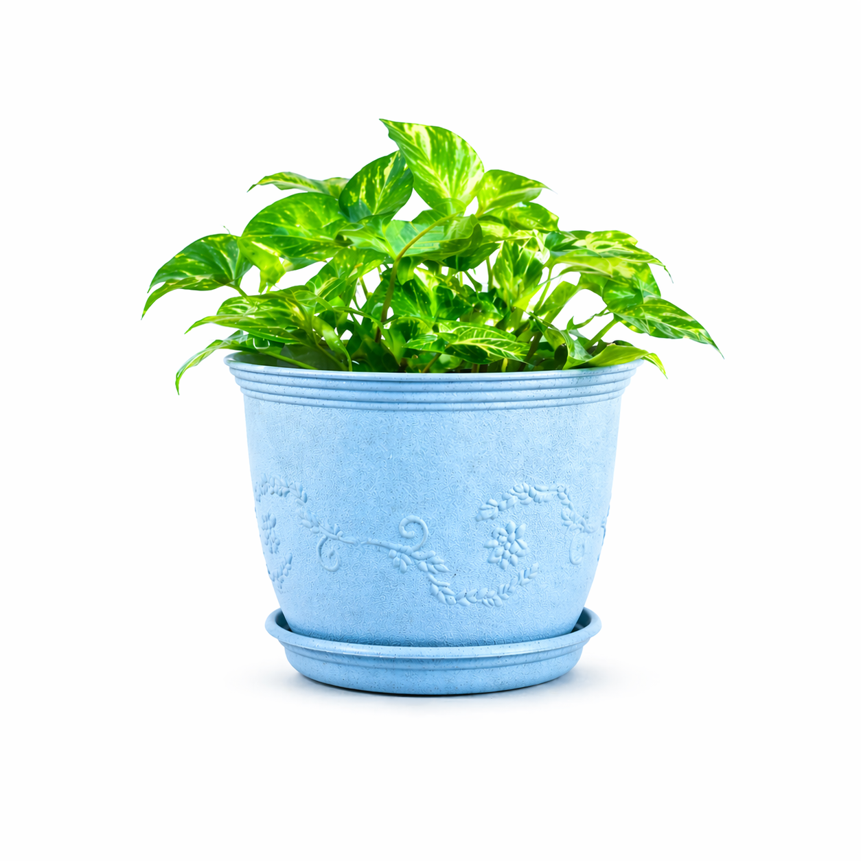 Leafy Planter