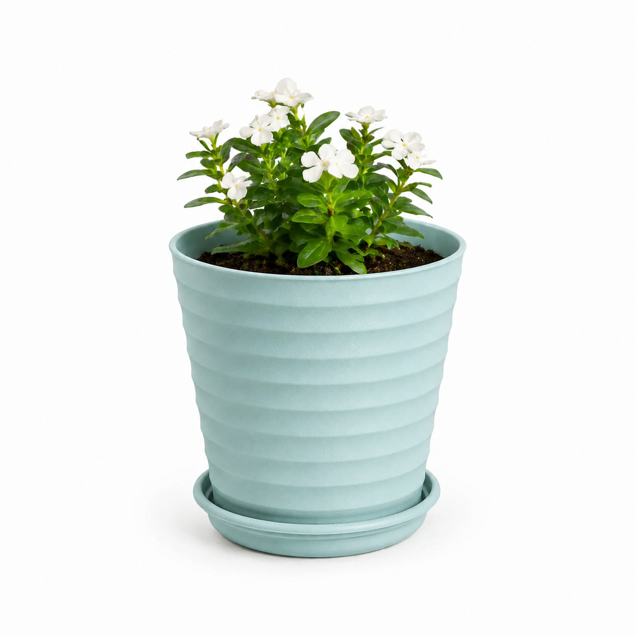Linea Planter 5.5 Inch