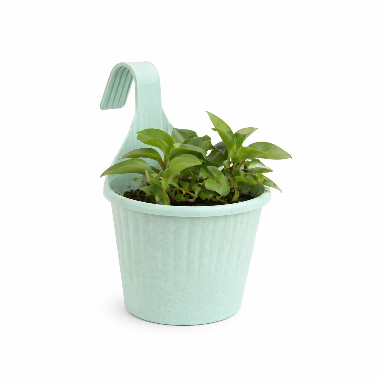 Eco Sling 10 Inch