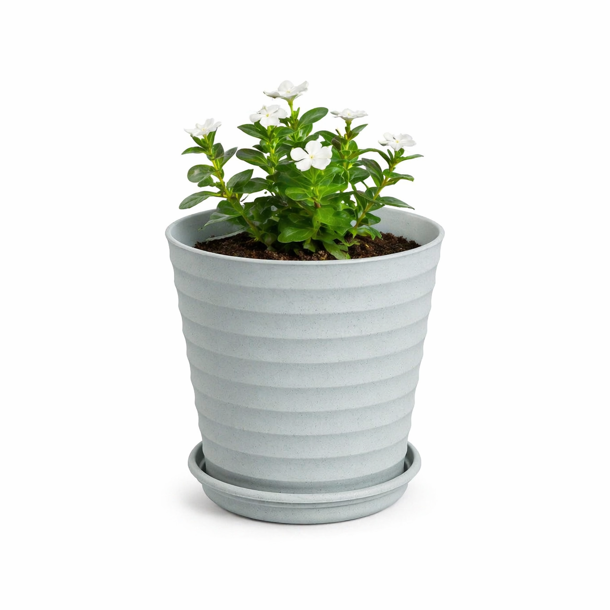 Linea Planter 5.5 Inch