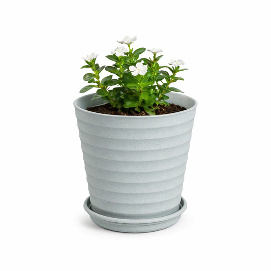 Linea Planter 5.5 Inch