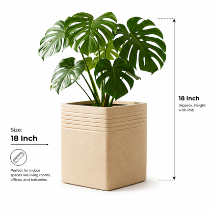 Portico Planter