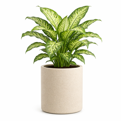 Gallery Planter