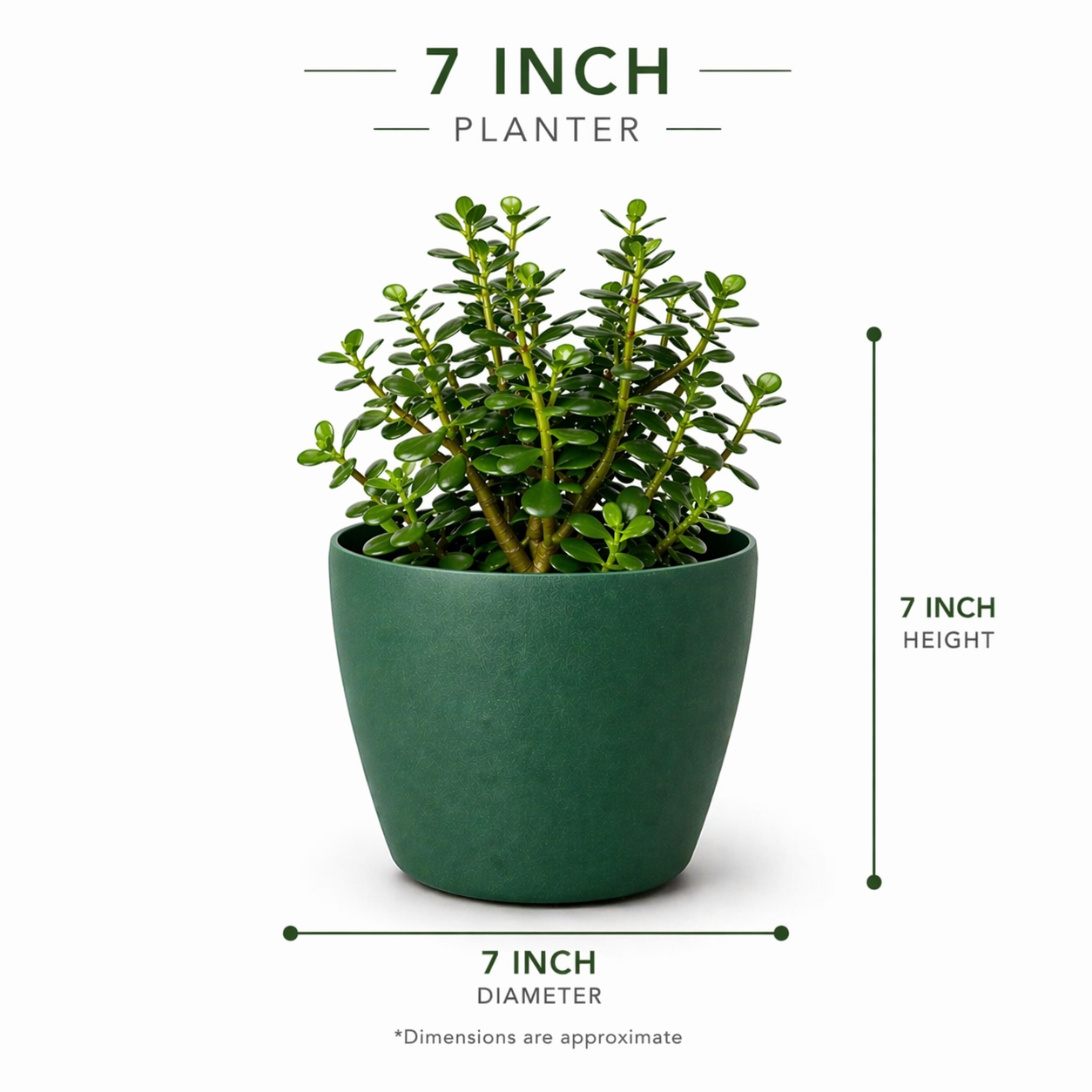 Deco Planter