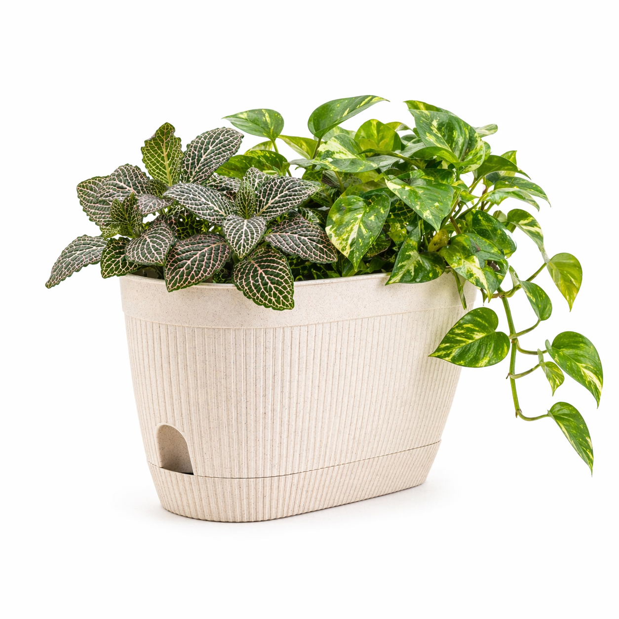 Eco Eva Planter 11.5 Inch