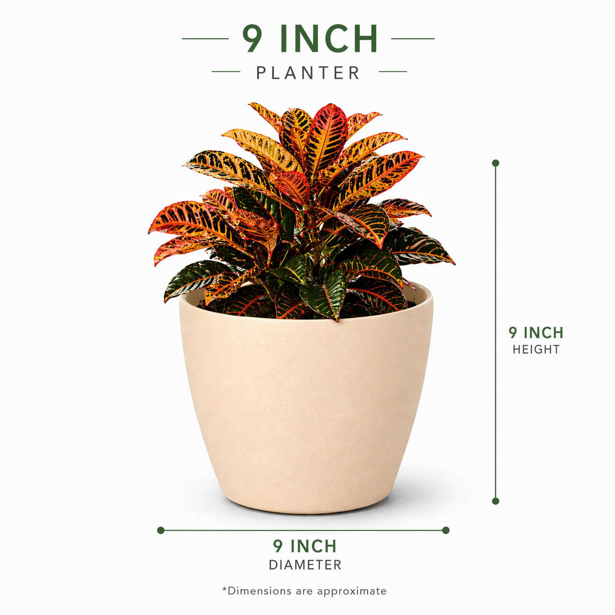 Deco Planter