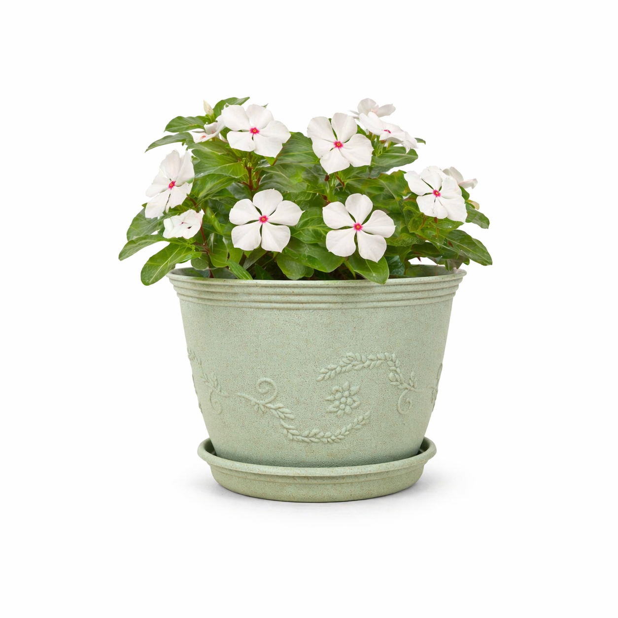 Leafy Planter
