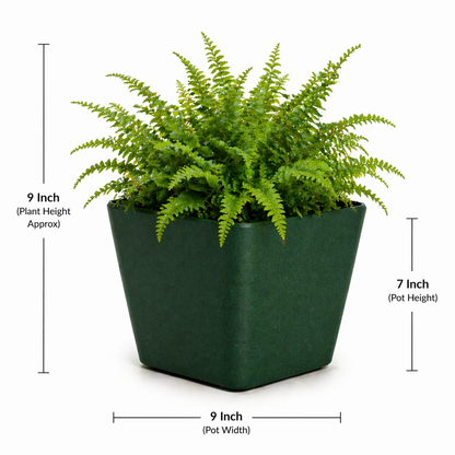 Daisy Planter