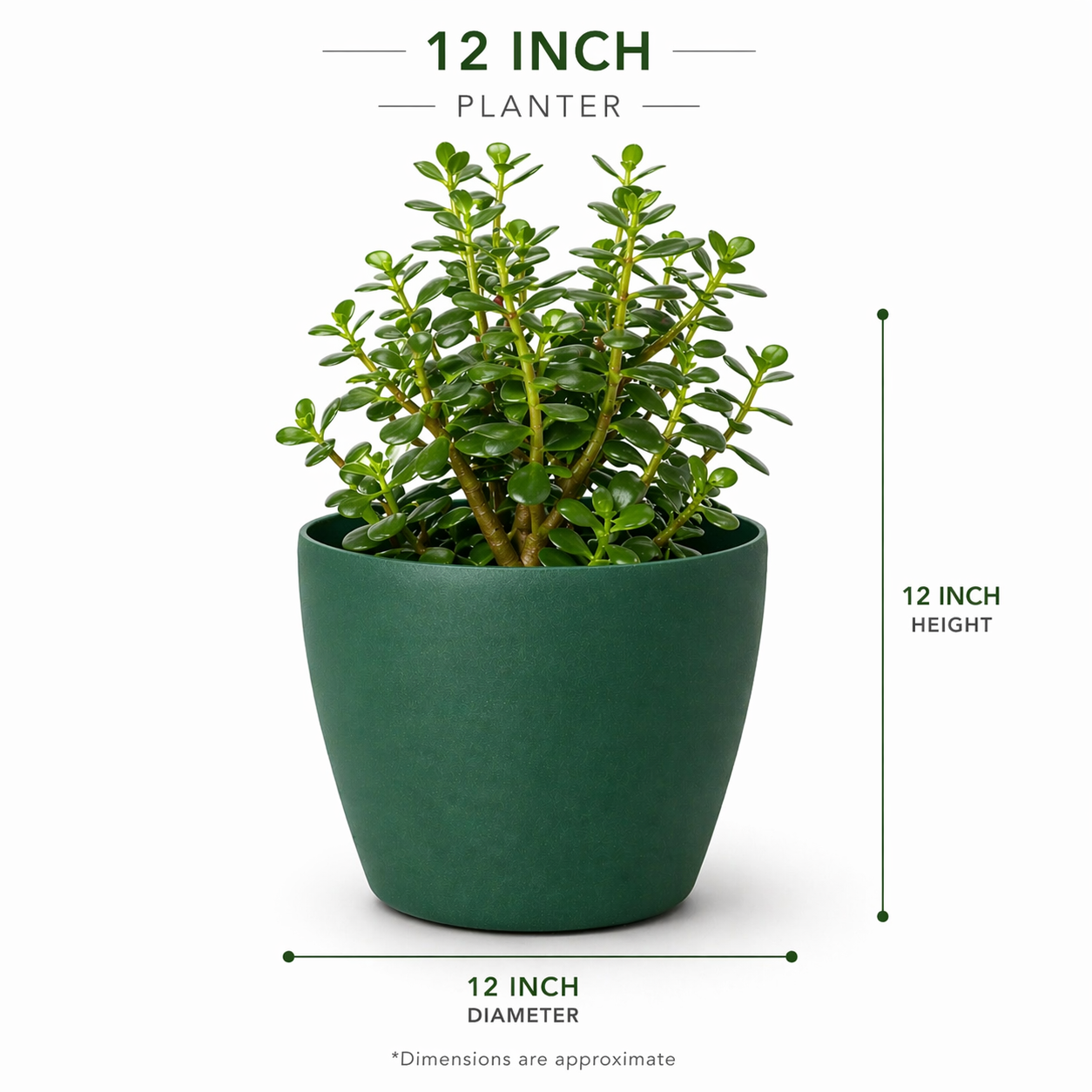 Deco Planter