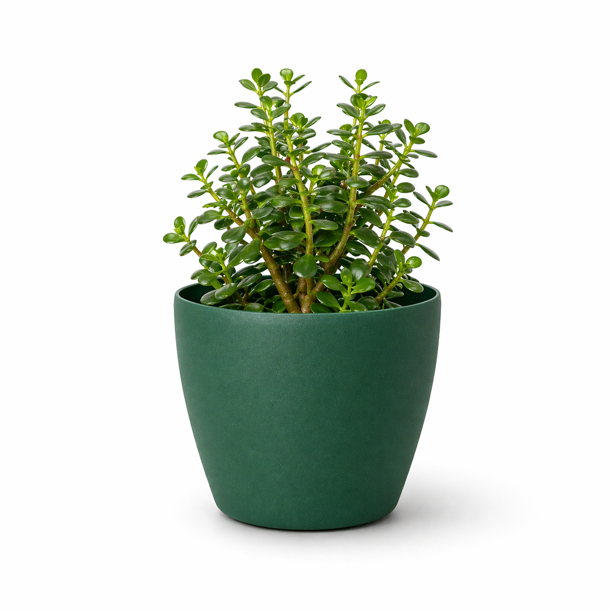 Deco Planter