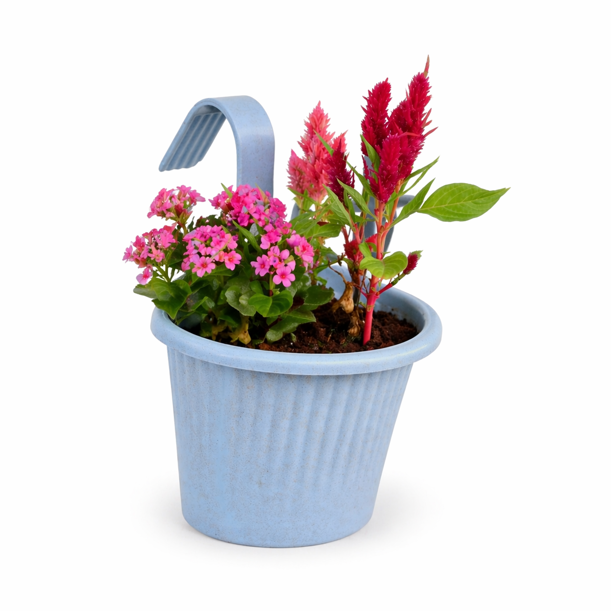 Eco Sling 10 Inch