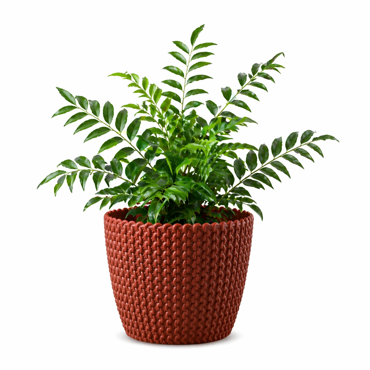 Link Planter 5.5 Inch