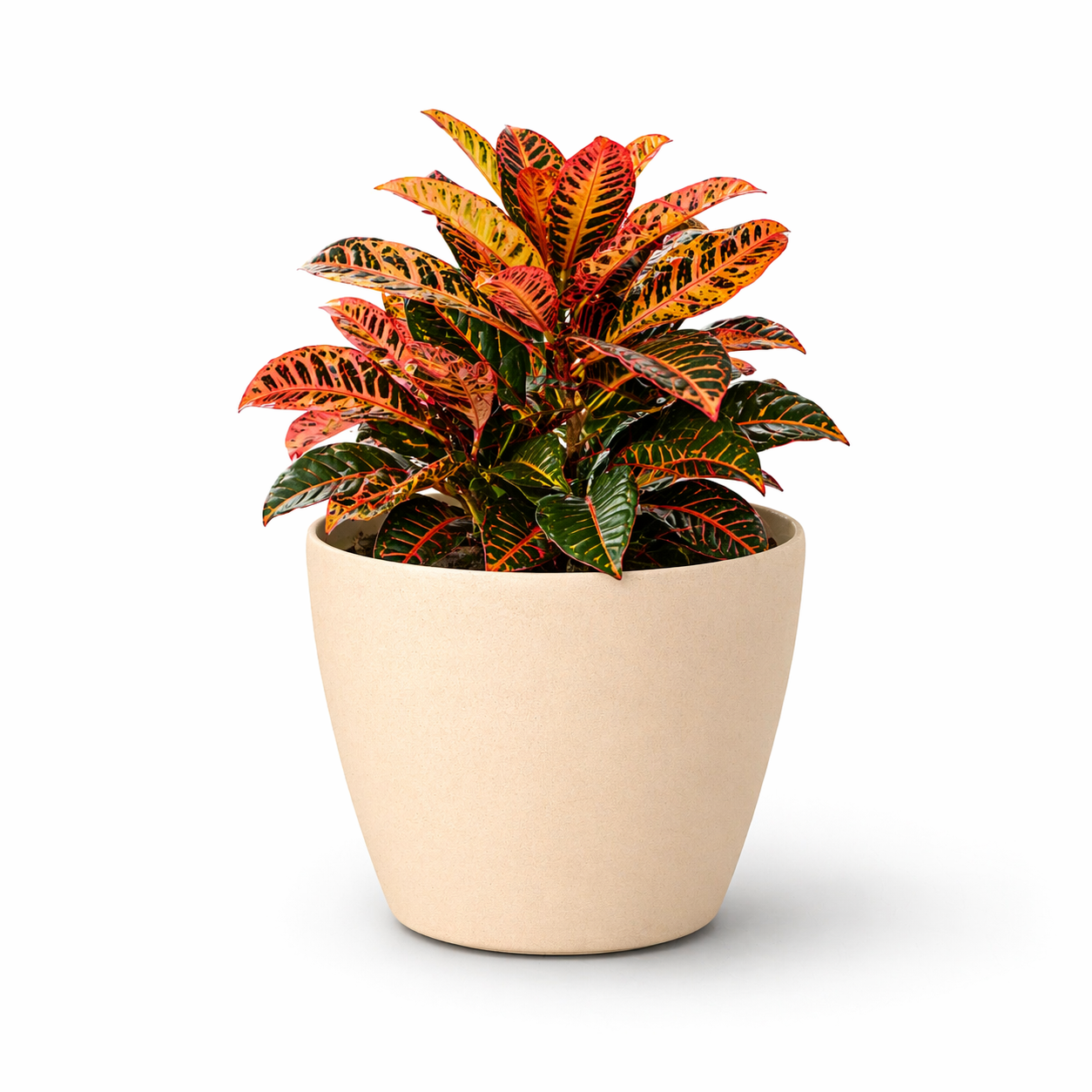 Deco Planter