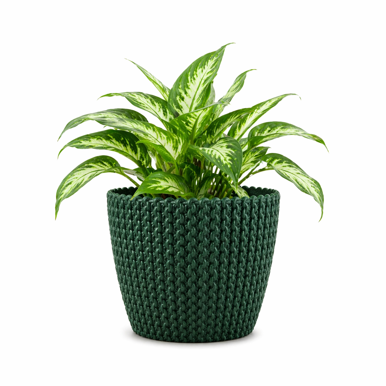 Link Planter 5.5 Inch