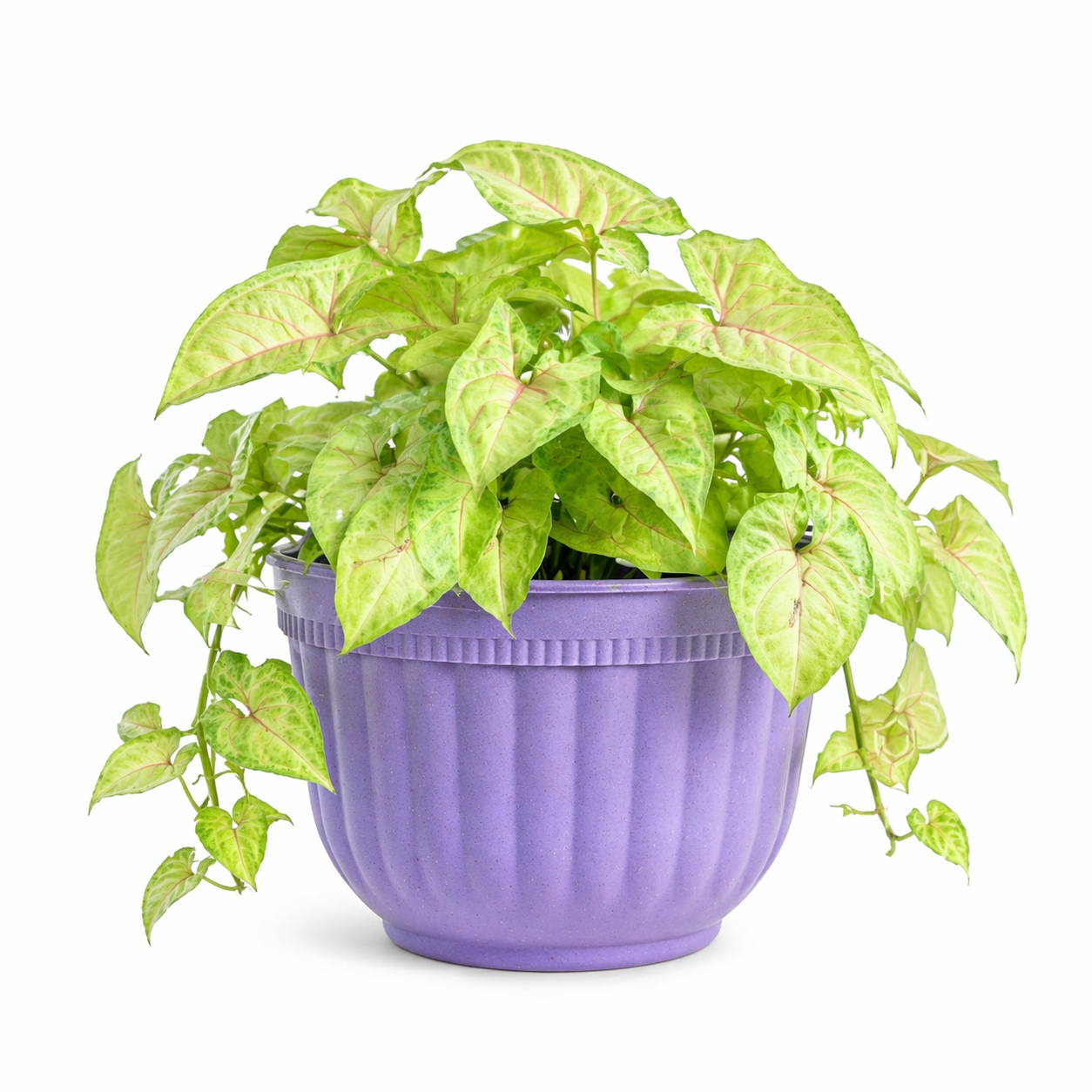 Metal Hook Planter