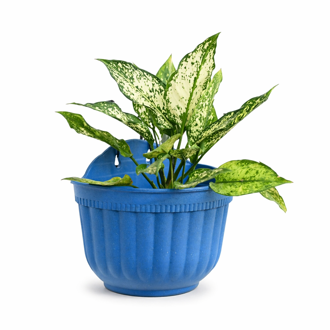 Metal Hook Planter