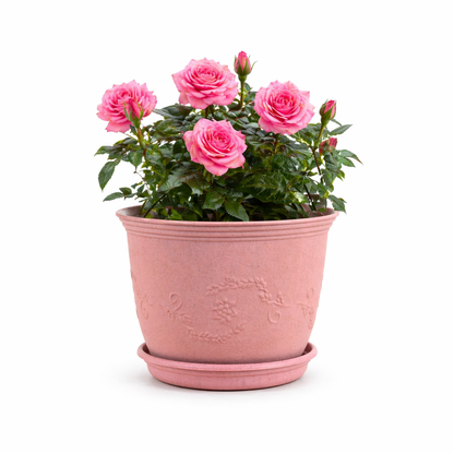 Leafy Planter