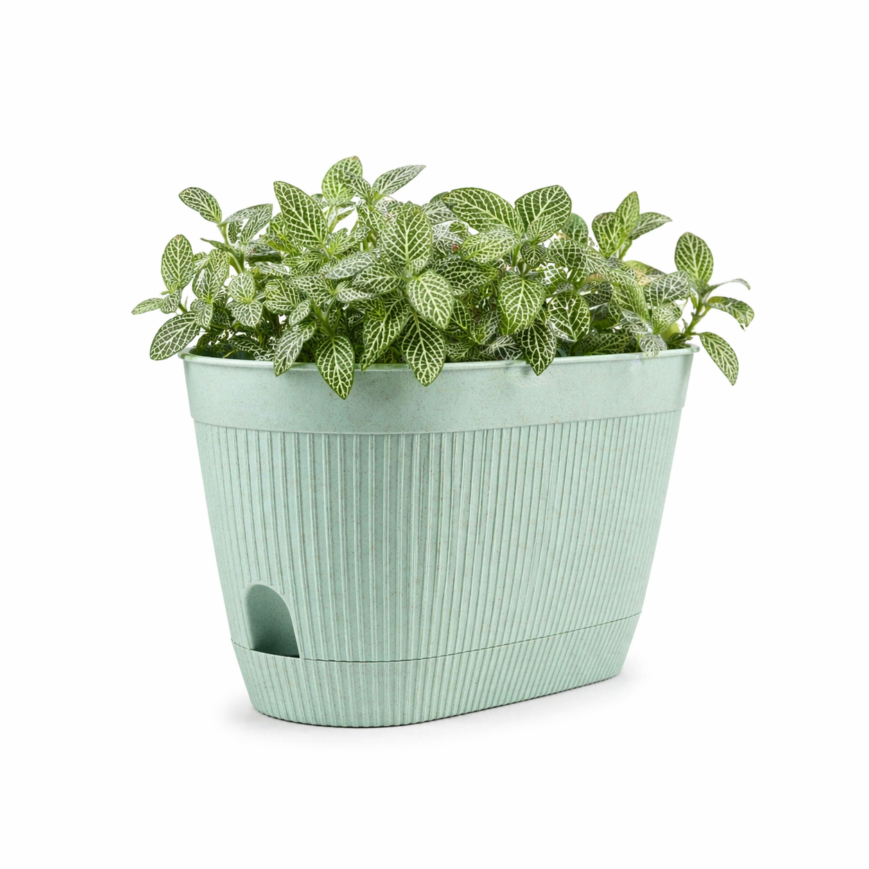 Eco Eva Planter 11.5 Inch