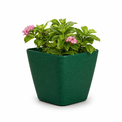 Daisy Planter