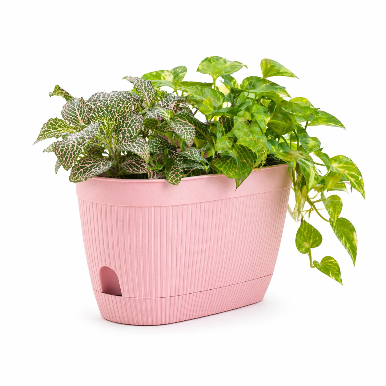 Eco Eva Planter 11.5 Inch