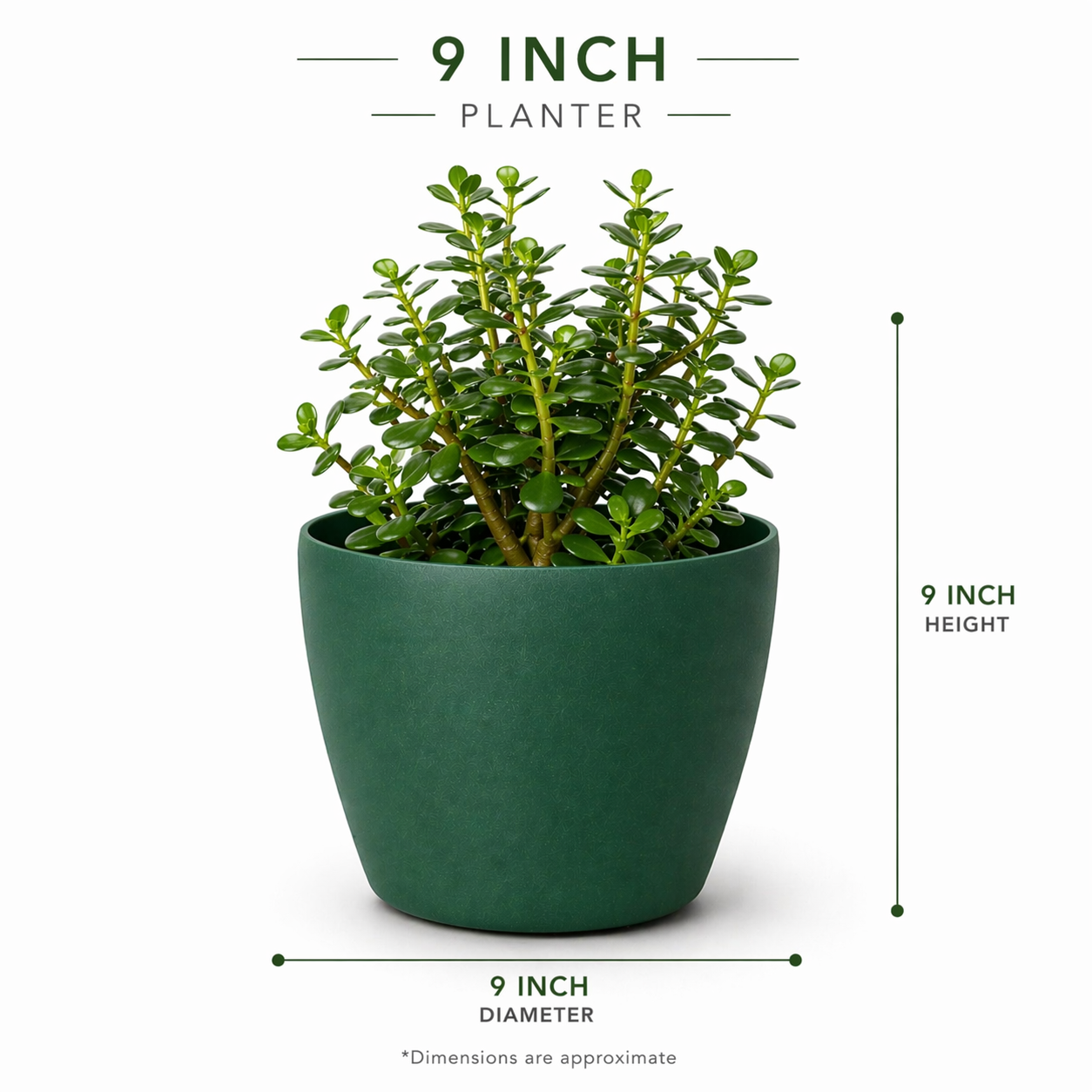Deco Planter