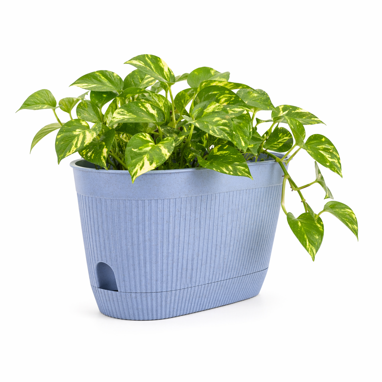 Eco Eva Planter 11.5 Inch