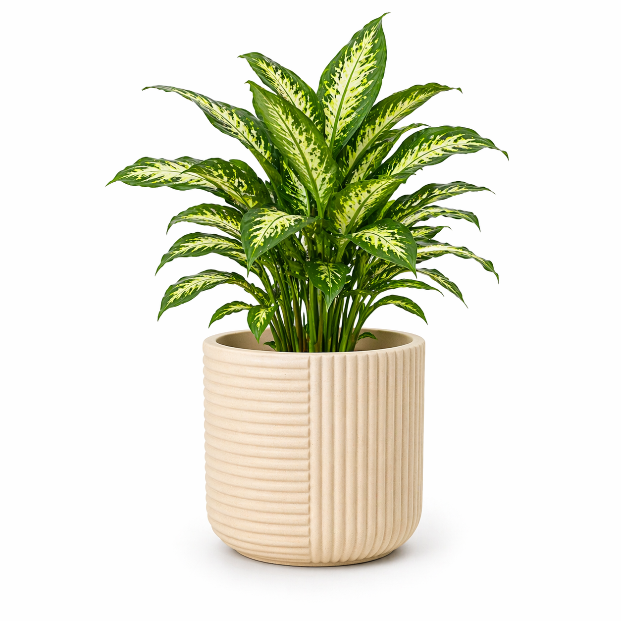 Elanza Planter