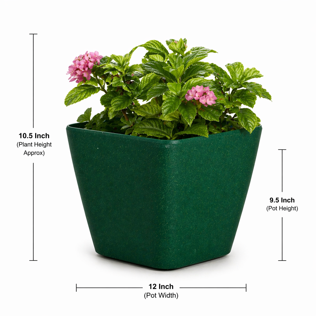 Daisy Planter