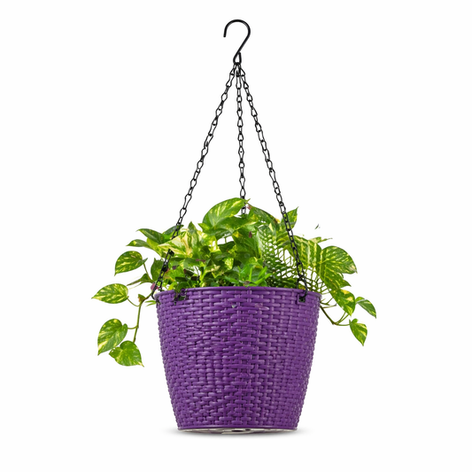 Lush Hanging Pot 7 Inch