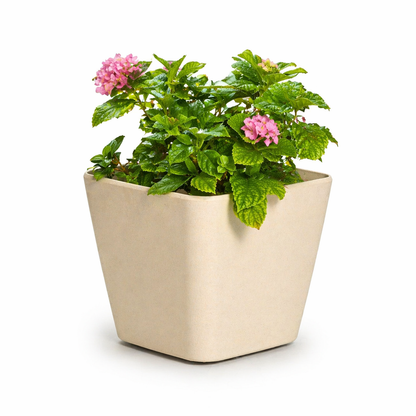 Daisy Planter