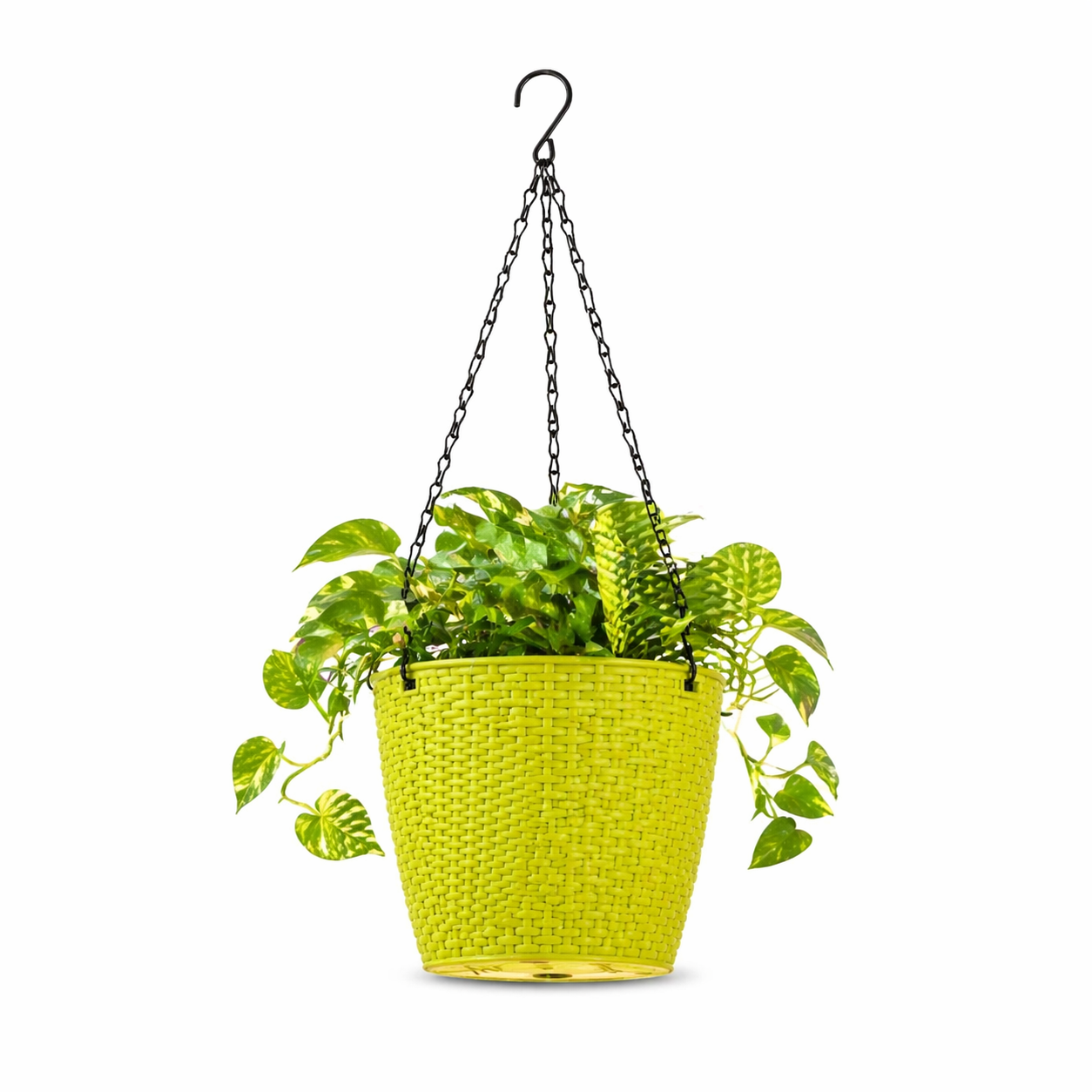 Lush Hanging Pot 7 Inch
