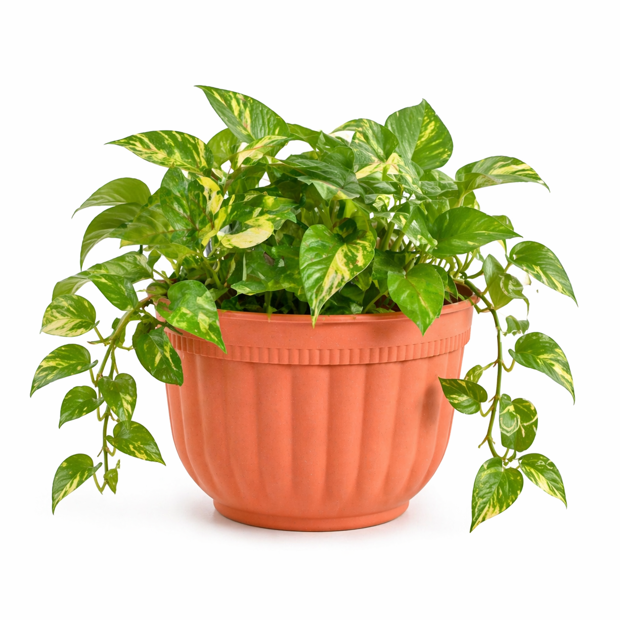 Metal Hook Planter