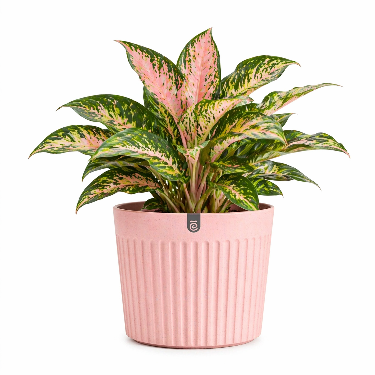 Romano Planter