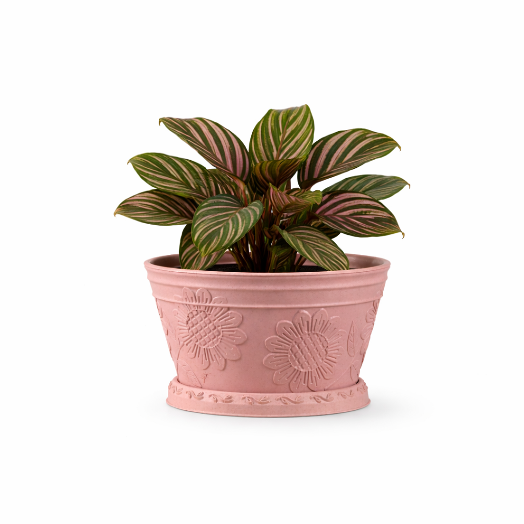 Nile Planter 9.5 Inch