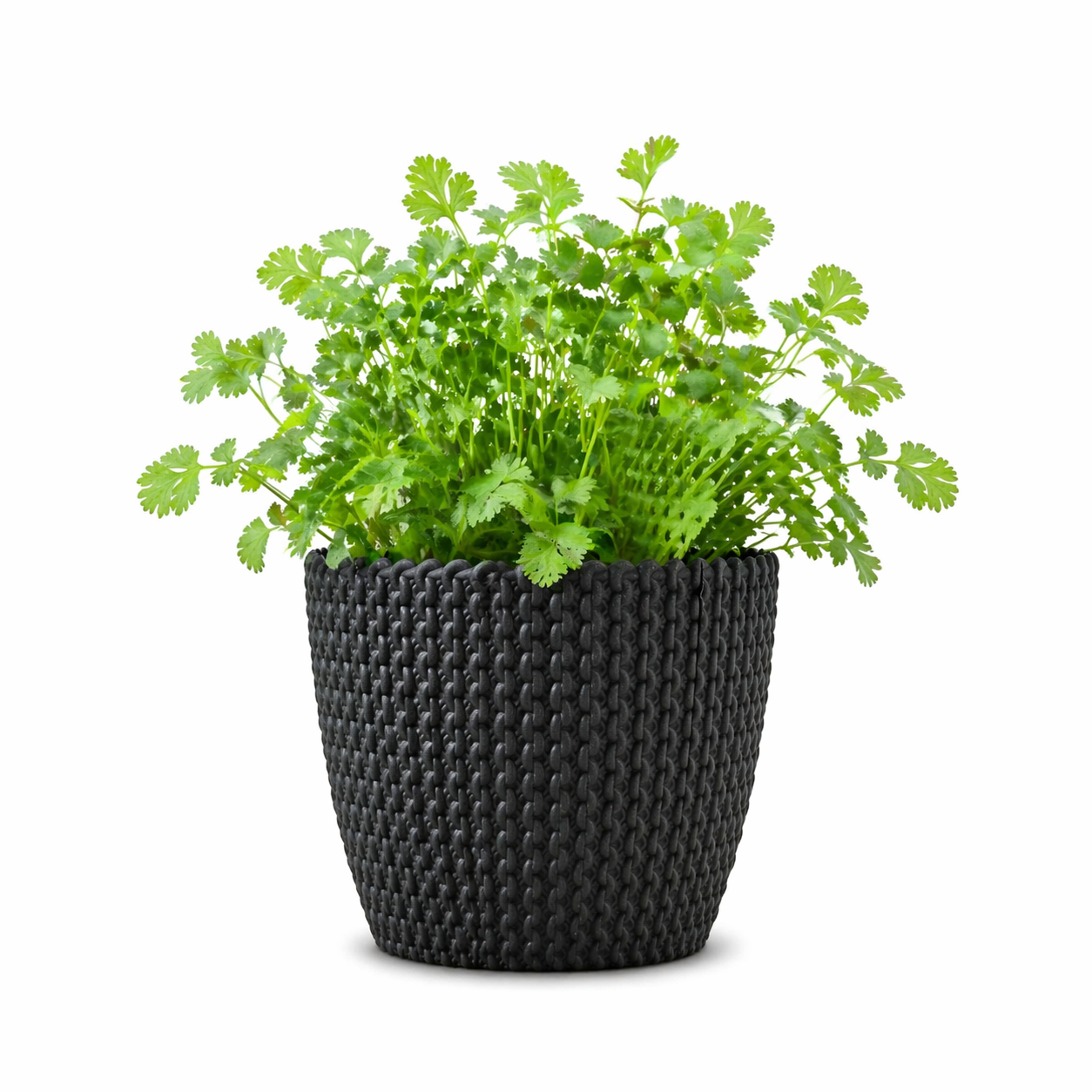 Link Planter 5.5 Inch