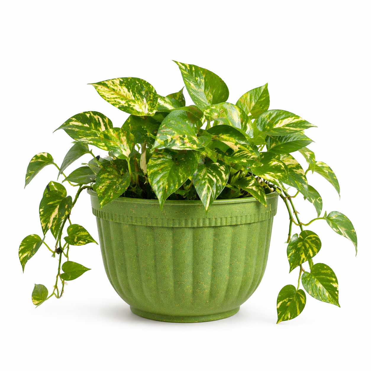 Metal Hook Planter