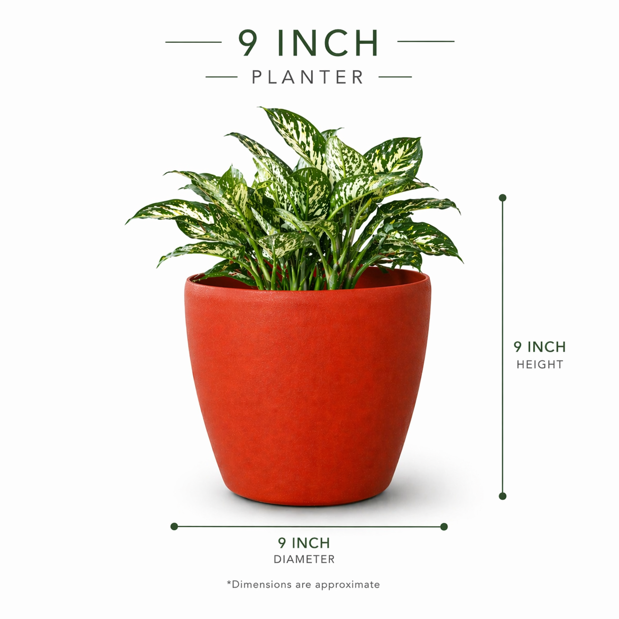 Deco Planter