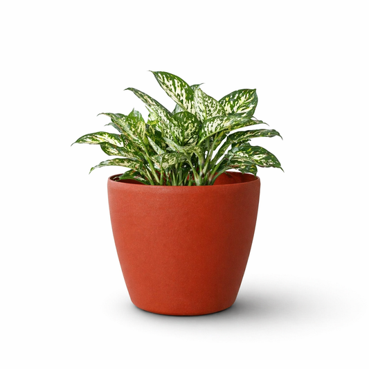 Deco Planter