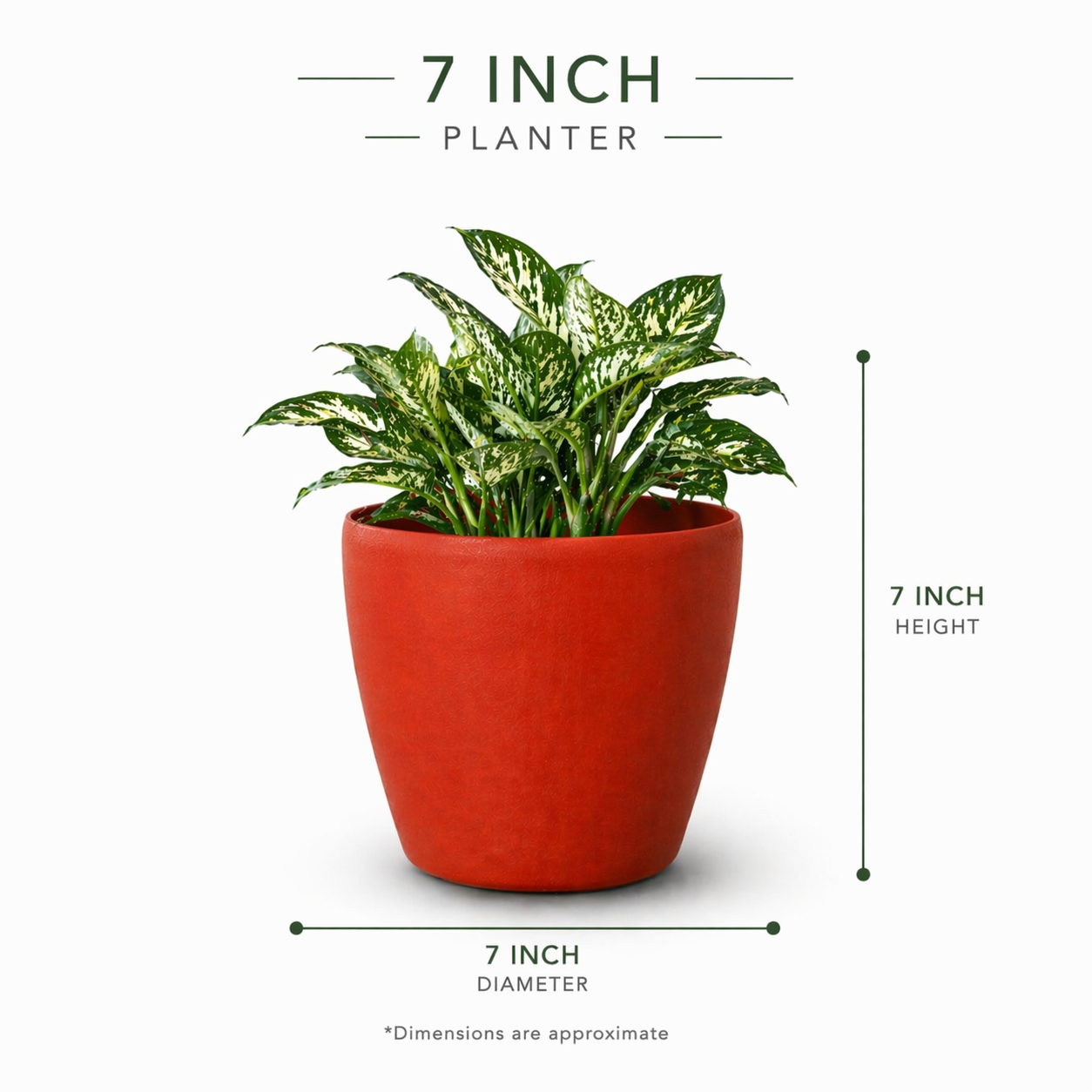 Deco Planter