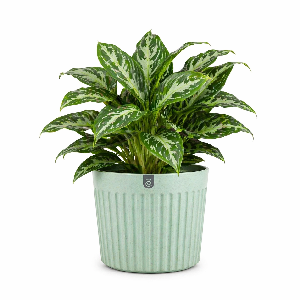 Romano Planter
