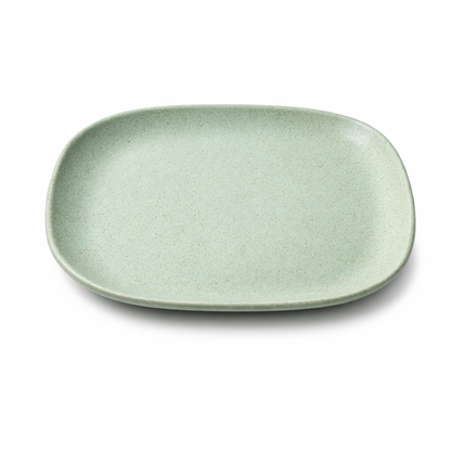 Dinner Plate 9 inch