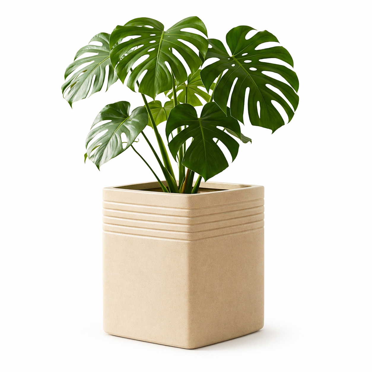 Portico Planter