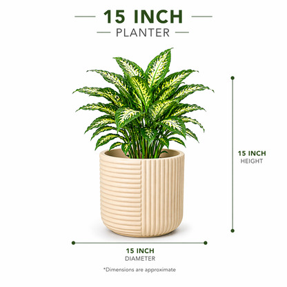 Elanza Planter